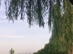 -洨河生态公园