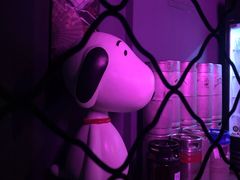 -后院儿·精酿·塔罗Happy Bar