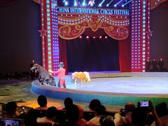 -珠海横琴长隆《卡卡虎奇遇记》