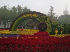 -大兴滨河森林公园