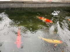 -西安市广仁寺