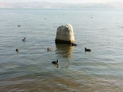 -洱海月湿地公园