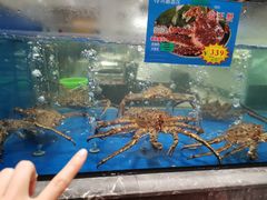 -凤栖酒店