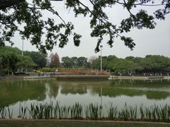 -东莞植物园