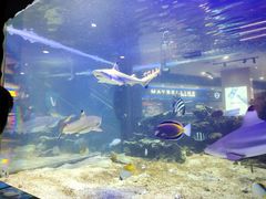 -凯德广场(学府店)