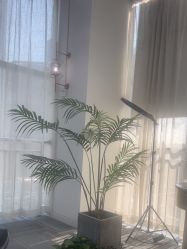 -AM半永久纹眉