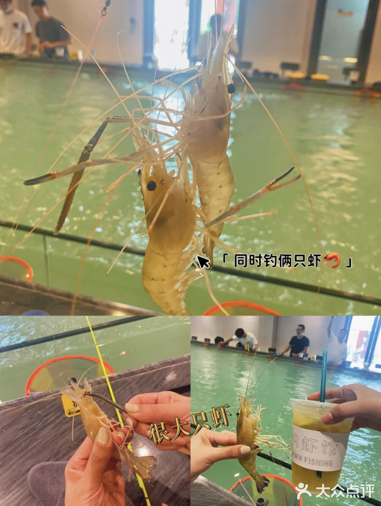 东莞探店｜新手同时钓上2⃣️只虾🦐！！好容易呀