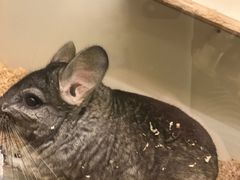 -龙猫仔乐园(惠福东路店)