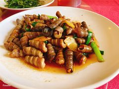 -南沙十九涌渔人码头-南门