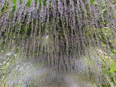 -同里国家湿地公园