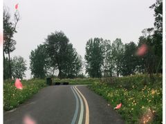 -白鹭湾湿地公园