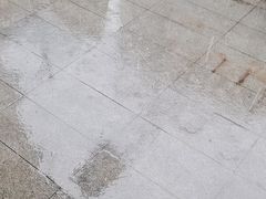 -老汉口鲜牛肉煎饺·牛杂萝卜汤(万松园店)