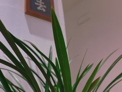 -隆德堂青瓷艺术·茶馆(故宫店)