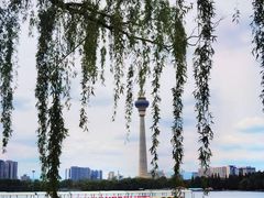 -中央广播电视塔