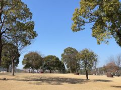 -上海月湖雕塑公园