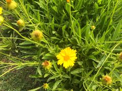 -武清南湖绿博园