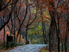 -九如山休闲旅游度假区