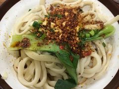牛肉油泼拉条子-马振面(小皮院店)