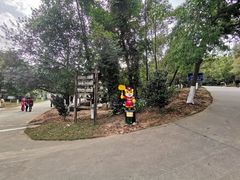 -中山市树木园