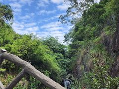 -东莞市大岭山森林公园