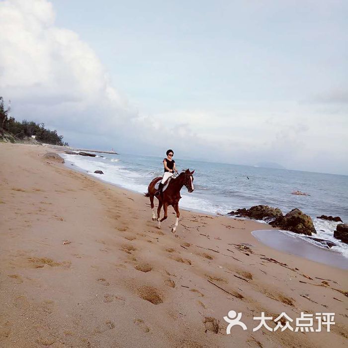 三亚马术俱乐部
