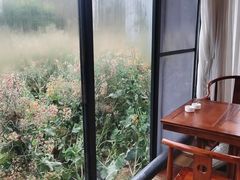 -洪湖家庭农场·团建·露营·会议