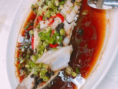-顺德渔鲜酒家