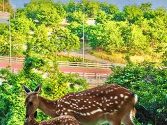 -鸭绿江海鲜烧烤大排档(杏林街店)