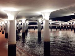 -演武大桥观景平台