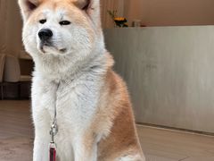 -YCHL Studios健身工作室(市二宫店)