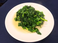 酒香豆苗-老吉士酒家(天平路店)