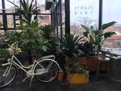 -北马山庄植趣咖啡