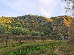 -仙居谷风景区