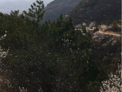 -云峰山自然风景区