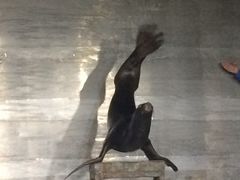 -邯郸海洋世界