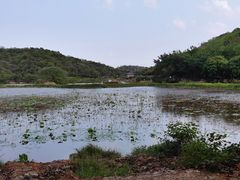 景点-李小龙乐园(顺德均安店)