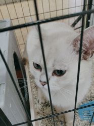 点击看大图 -镁连社·美联社