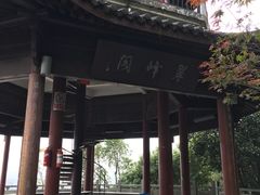 -杭州半山国家森林公园