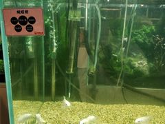 -宠物世家(仲盛世界商城店)