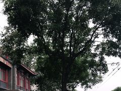 -北京大学第一医院(西城厂桥院区)
