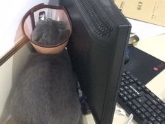 -佳雯宠物医院(四明中路分院)