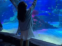 -沈阳海洋探索中心