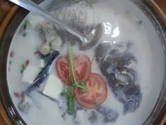 -全乐鱼馆·淳牌有机鱼直营店