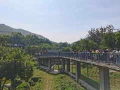 -石家庄市动物园