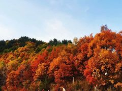 -道须沟旅游风景区