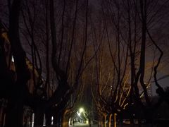 -西安交通大学(雁塔校区)