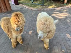 -广州融创文旅城