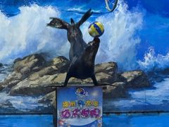-左海海底世界