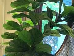 -湘阅•威海海鲜•湖南味道(华宝店)