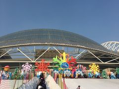 -沈阳奥体冰雪嘉年华